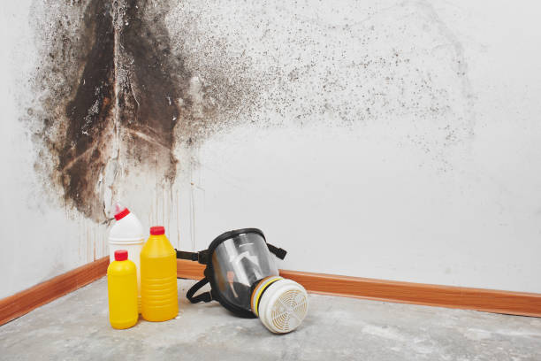 Best Attic Mold Remediation in Sparta, TN